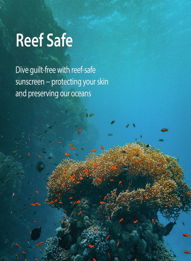 بلايث واقي الشمس BLITHE Honest لطيف وفعال من الأشعة فوق البنفسجية - واقي شمس كوري خفيف الوزن، درجة حموضة متوازنة 5.5 وحاصل على تصنيف EWG الأخضر، مع بروبيوتيك، عامل حماية من الشمس 50+ PA++++ (1.69 أونصة) - Image 4